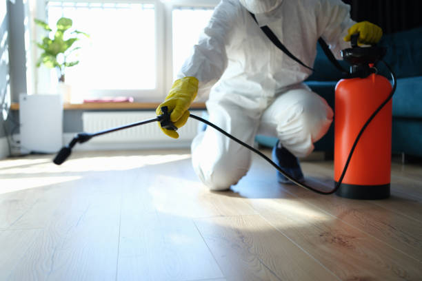 Reliable Odor Removal contractor in Hobe Sound, FL by Trauma Clean Pros